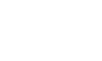 Red tortoise