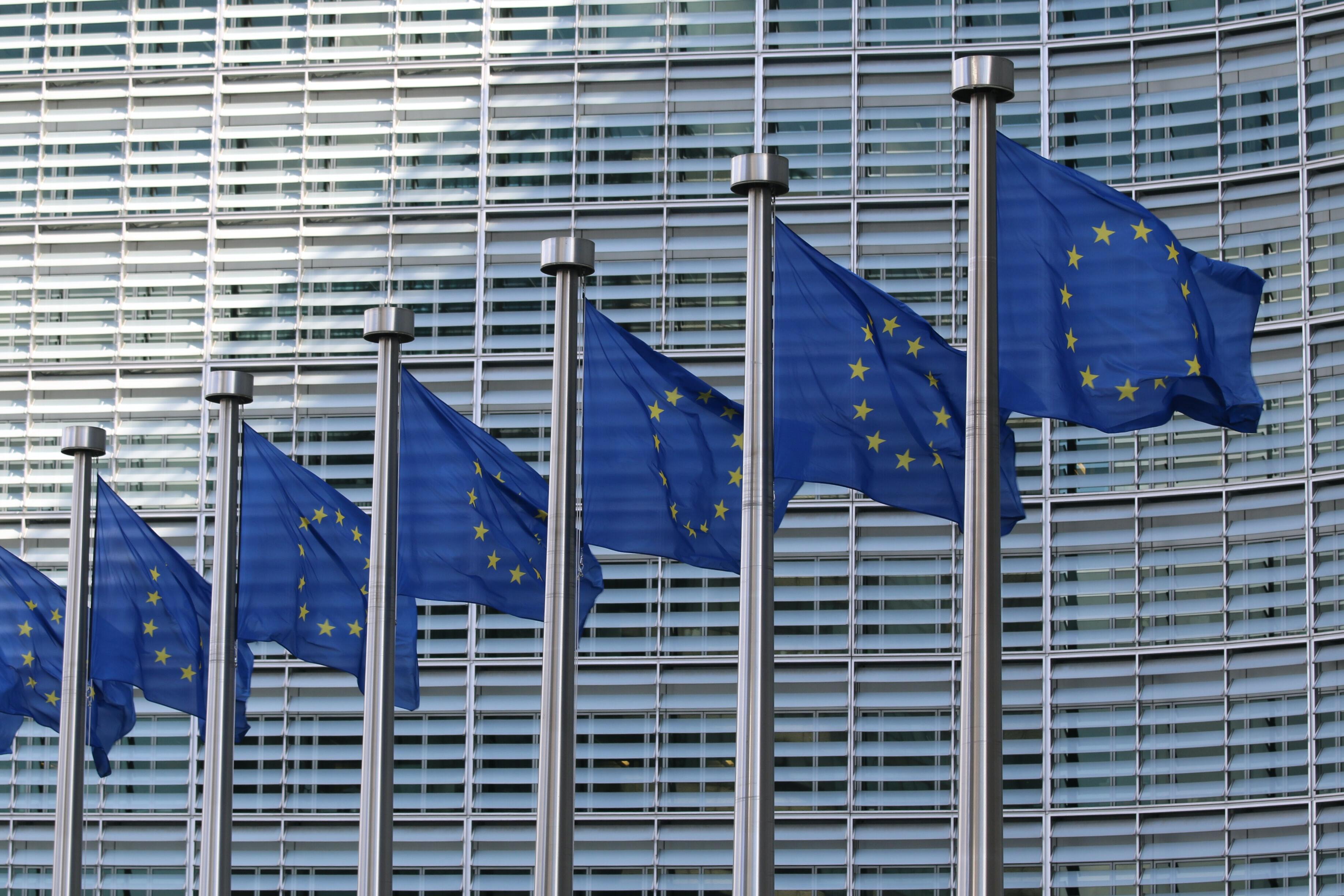 EU flags in Brussels
